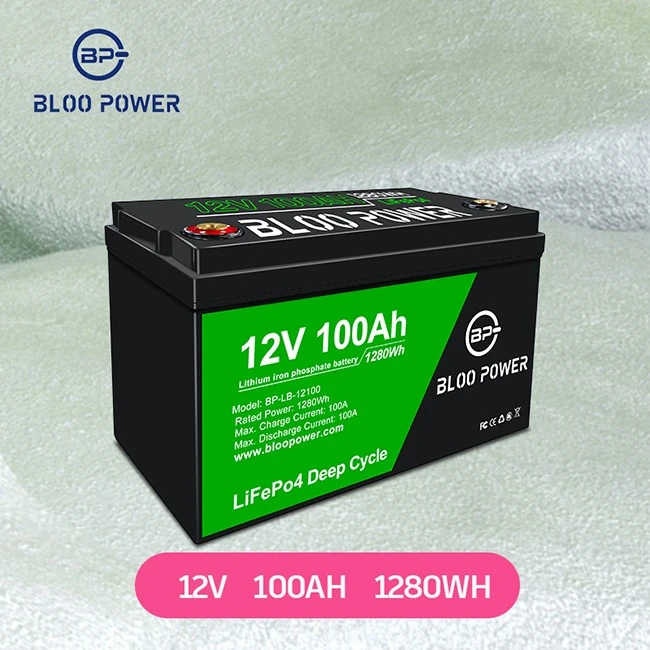 Smart 100Ah BMS 12V lithium ion battery