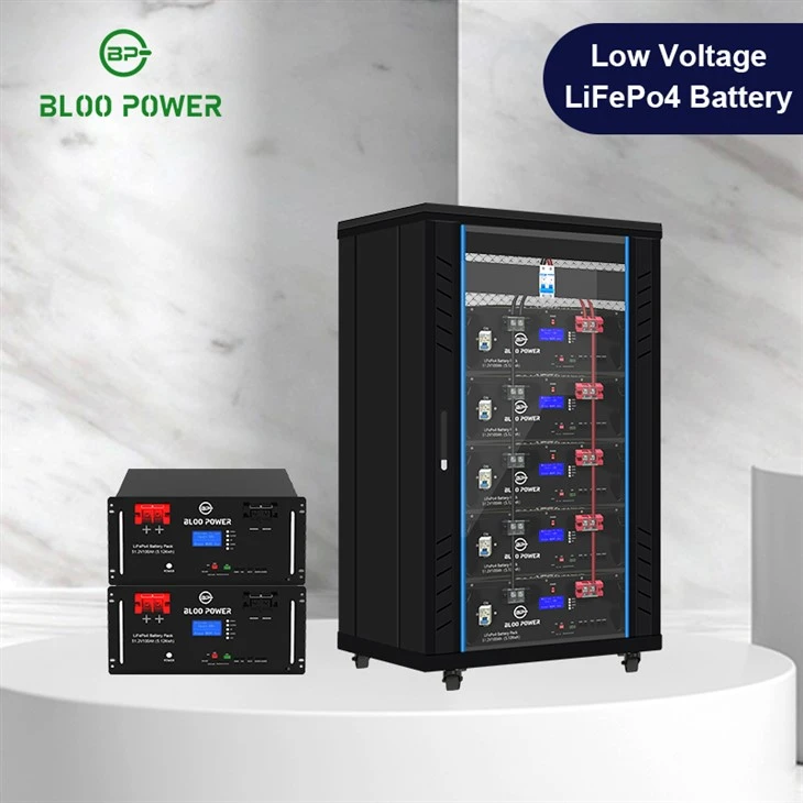 Low Voltage Rack Mounted Lithium Ion Battery Energy Storage